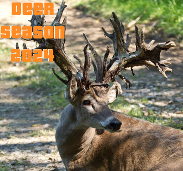Top 5 Best States For Deer Hunting