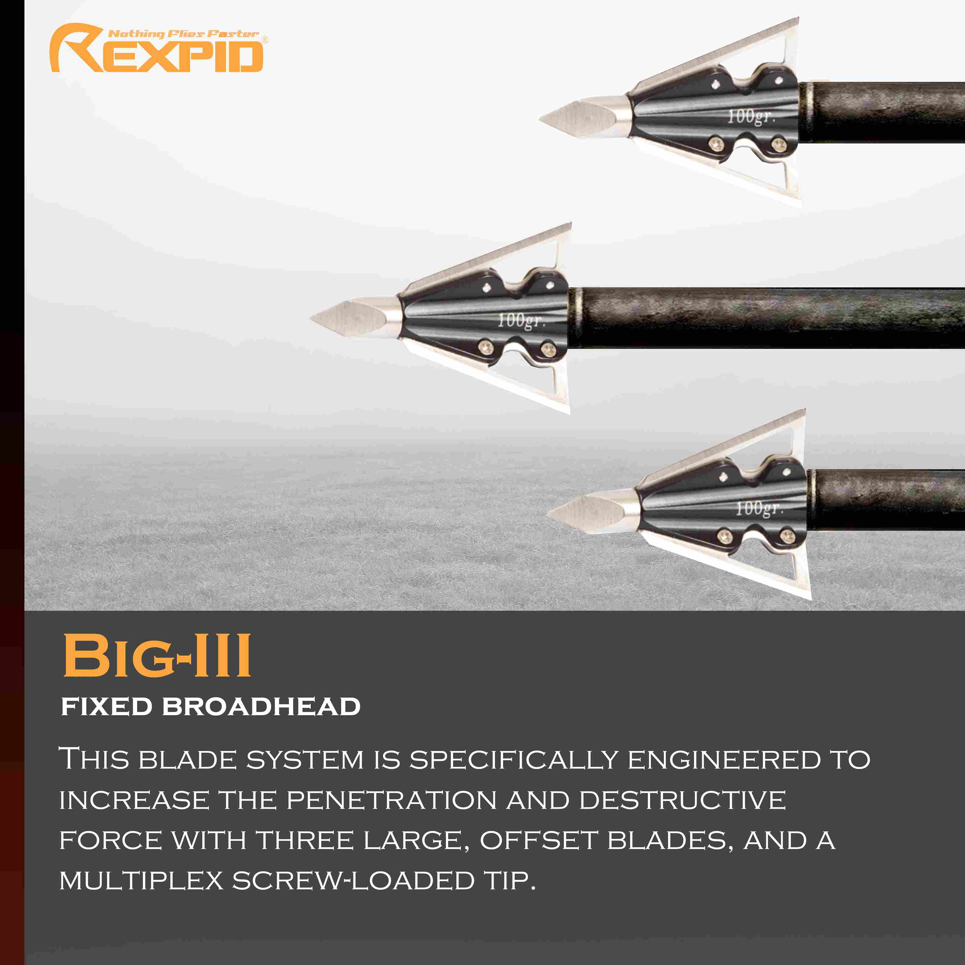 REXPID BIG III |Fixed 100 Gr Broadheads - Unmatched Precision & Power