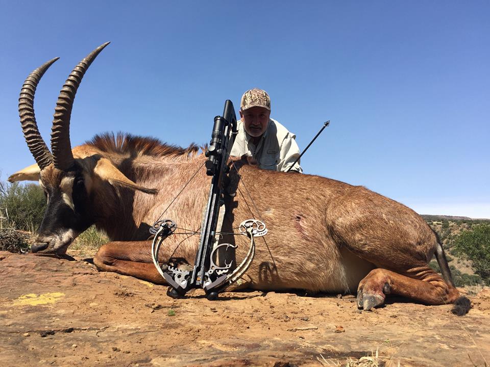 REXPID 2 | Mechanical Broadheads - 100 Grains
