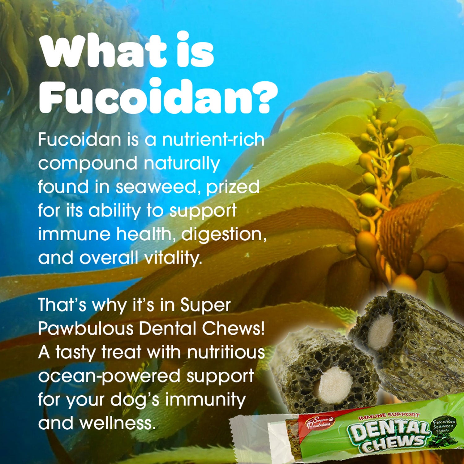 Super Paw Dental Chew - Seaweed Flavor