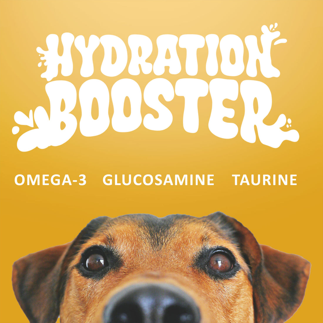 Super Paw Pet Milk - 10 Pack (60.87oz)