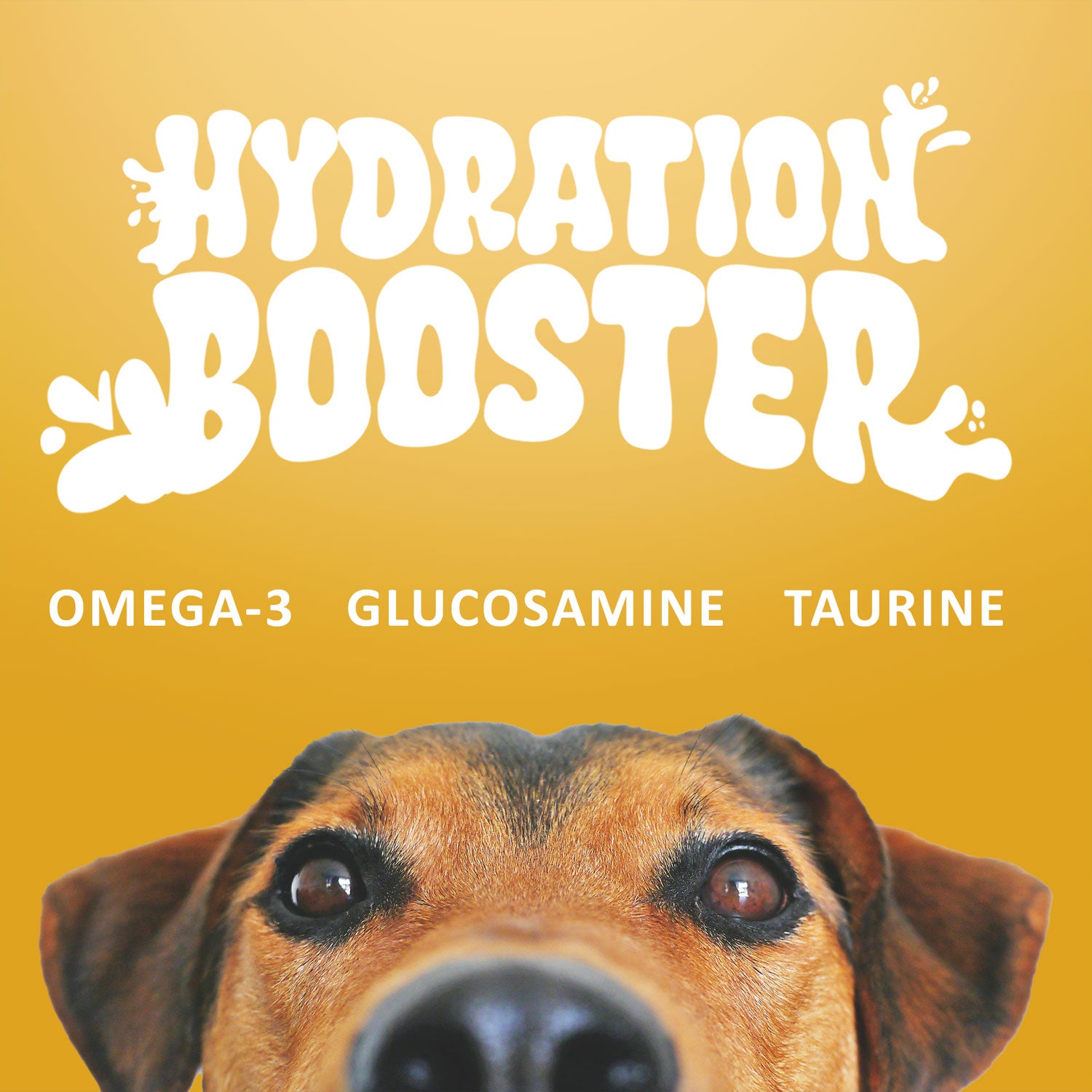 Super Paw Pet Milk - 10 Pack (60.87oz)