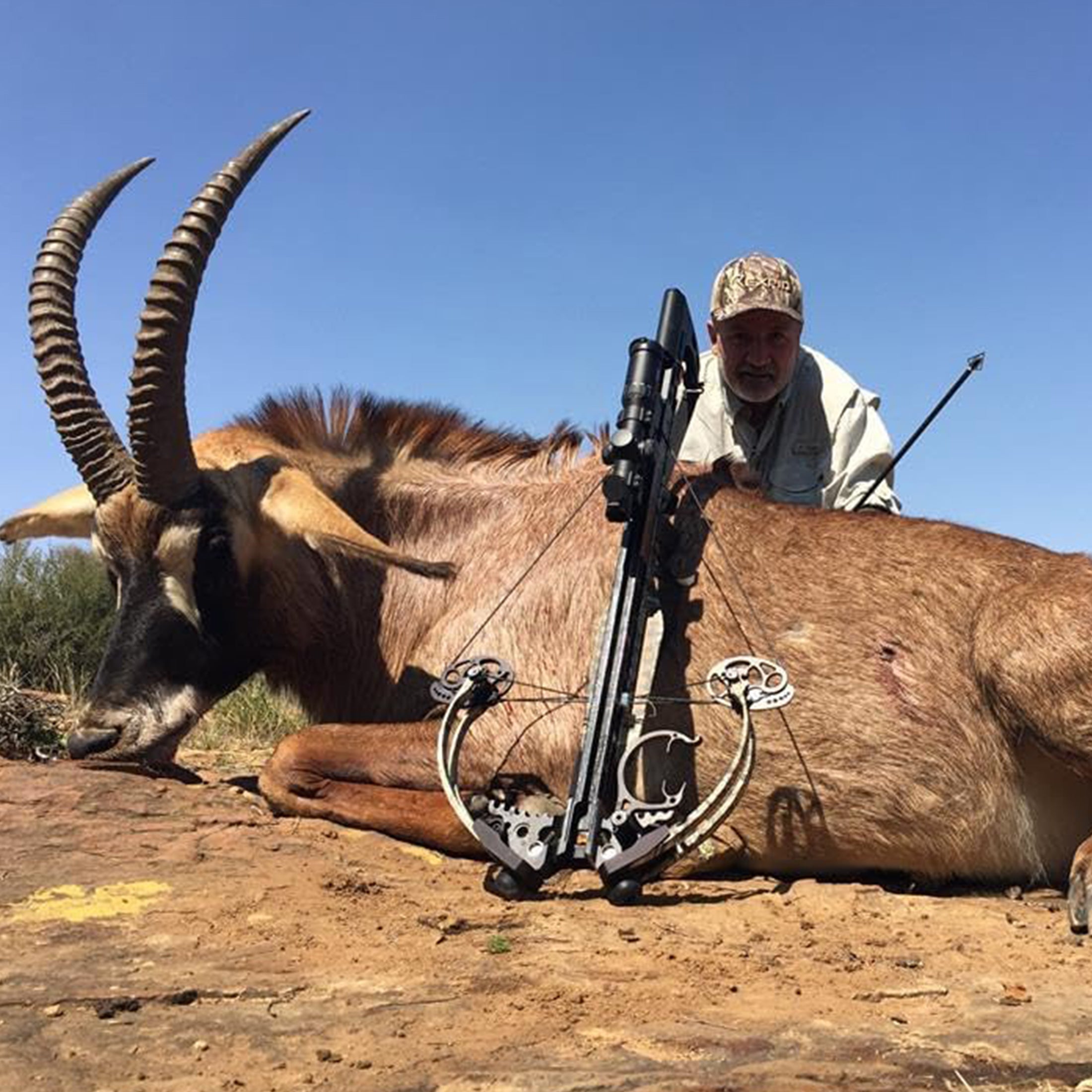 REXPID RX-S | Mechanical Broadheads (100 Grain)
