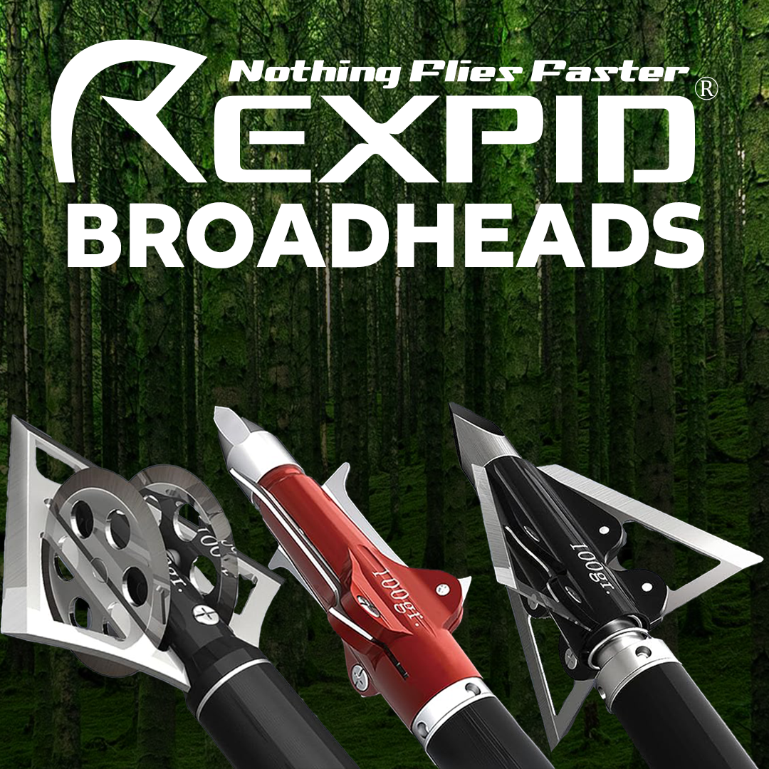 Broadhead Python Types Of Broadheads: Introduction To The Different Types – PeppermintOne