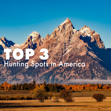 Top 3 Hunting Spots in America