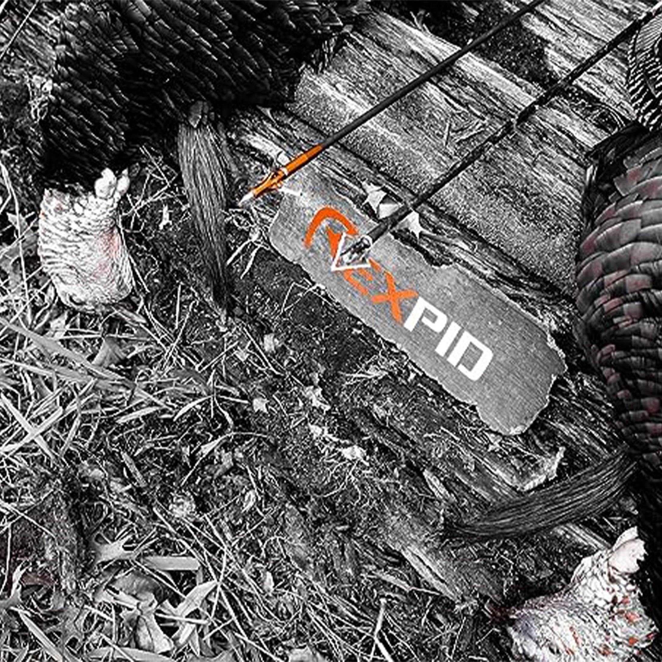 REXPID NURI | Fixed Broadheads for Crossbow Hunting - "Pizza-Cutter" Blades - Enhanced Penetration & Deeper Wound Channel